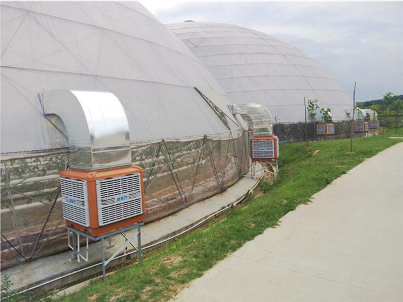 溫室大棚通風(fēng)降溫設(shè)備|潤(rùn)東方環(huán)?？照{(diào)