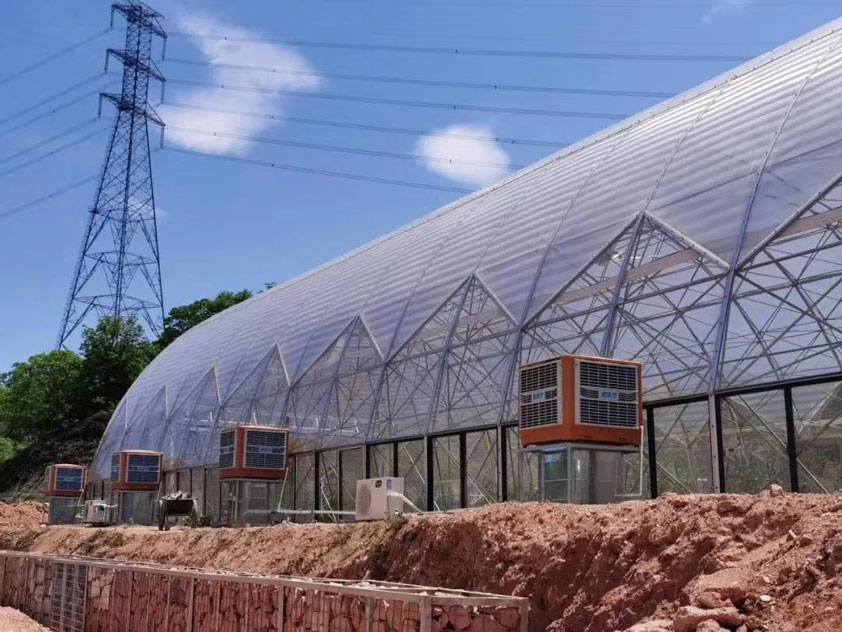 車間如何降溫？什么通風降溫設備節(jié)能省電