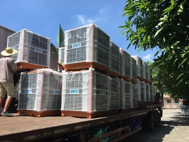 工廠車間快速降溫方法，你知道嗎？