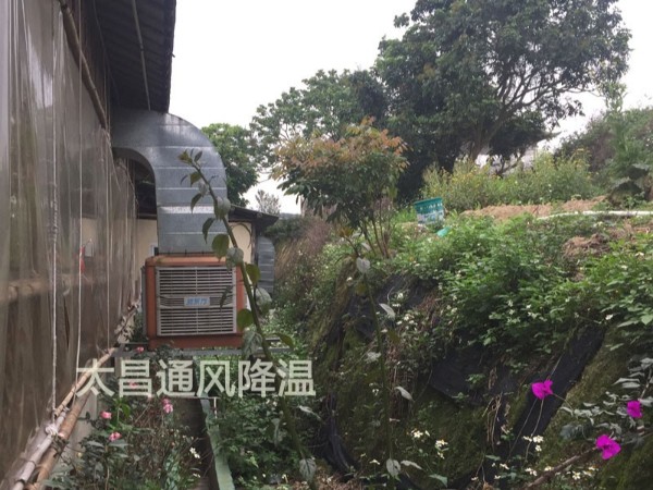 餐廳太熱？環(huán)?？照{(diào)為你送清風(fēng)