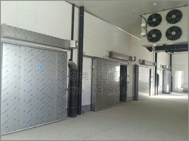 蔬菜冷凍 蔬菜冷凍