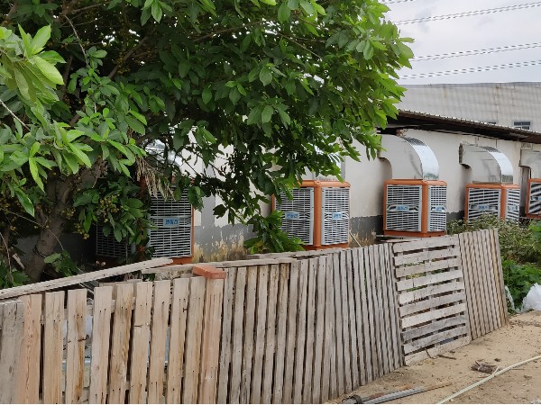 夏季即將來臨，您家的環(huán)?？照{準備好了嗎？