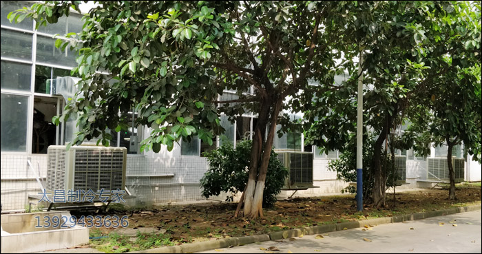 IMG_20170626_141801 IMG_20170626_141801