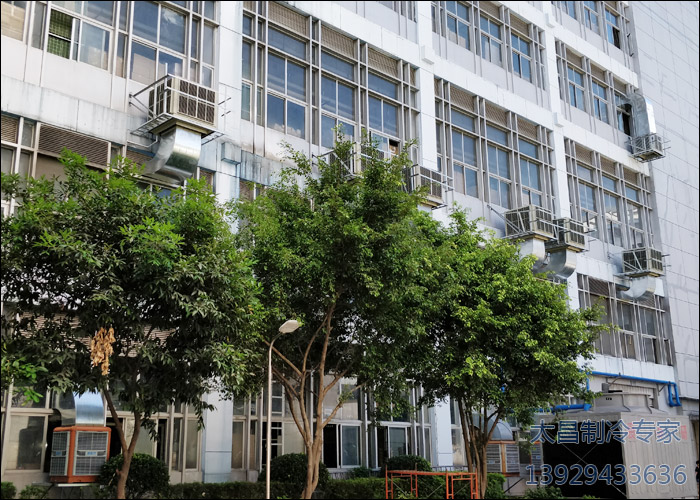 IMG_20170628_101717 IMG_20170628_101717