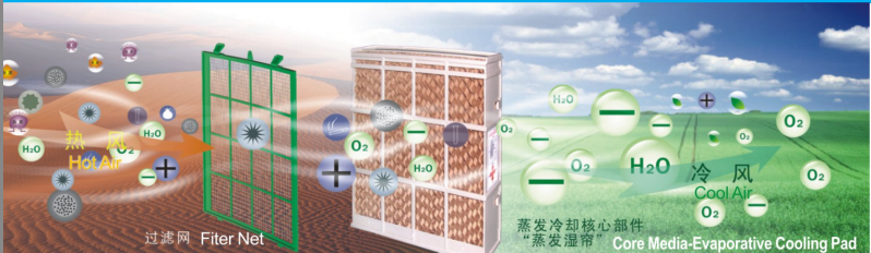 1557716669(1) 1557716669(1)